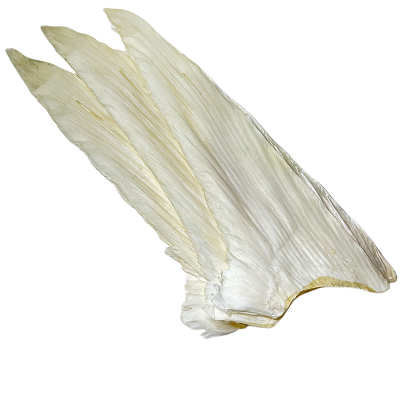 魚翅系列l(wèi)ogo.png